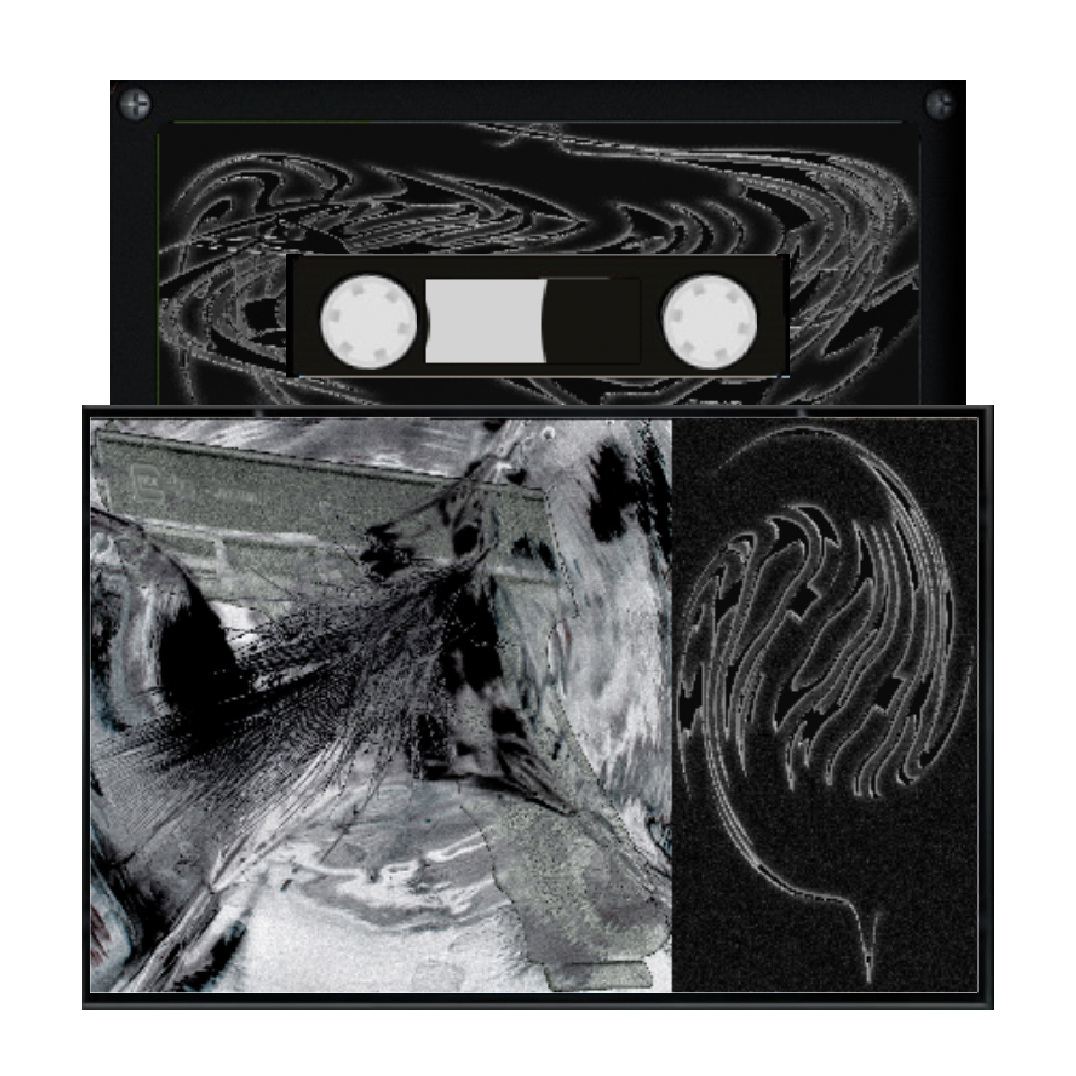 Shoe On Fire Cassette